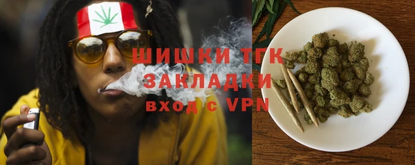 прущая мука Инсар