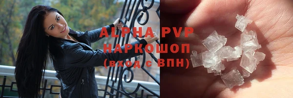 PSILOCYBIN Иннополис