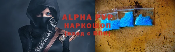 PSILOCYBIN Иннополис