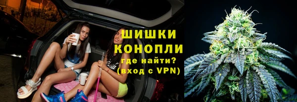 PSILOCYBIN Иннополис
