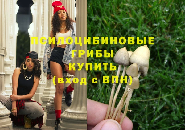 прущая мука Инсар