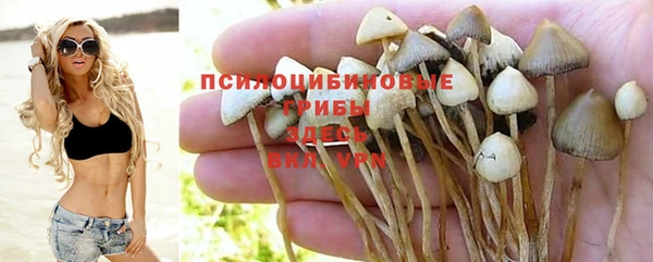 прущая мука Инсар