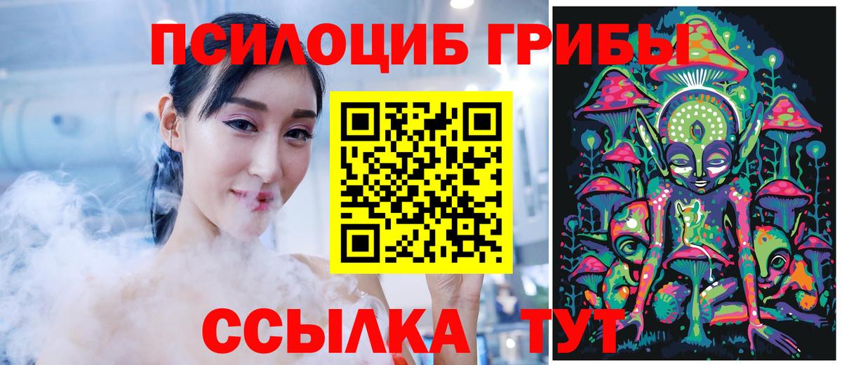 Галлюциногенные грибы прущие грибы  Реутов  Галлюциногенные грибы прущие грибы 